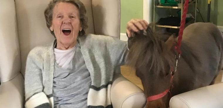  Farm animals bring smiles to elderly residents’ faces 