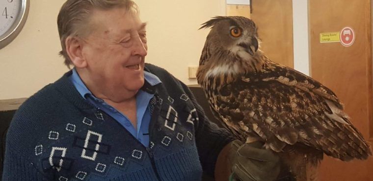  Birds of prey pay flying visit to Teesside care home 