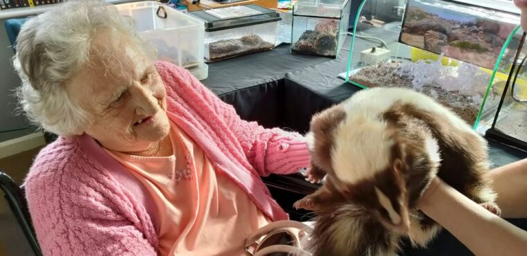  Animal encounters boost elderly residents’ wellbeing 