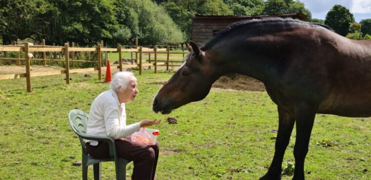  Horse and rescuer reunited after many years apart 