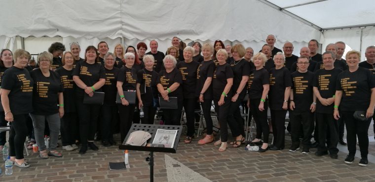  Singing for elderly veterans in wounded soldiers’ show 