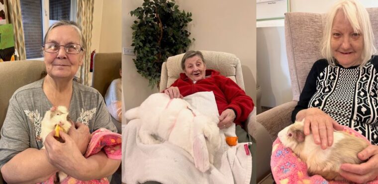  Elderly residents delighted by furry therapy session 