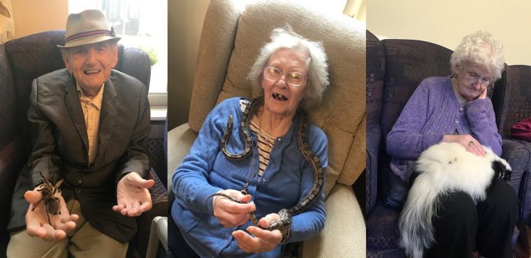  Exotic creatures visit Bakewell care home residents 