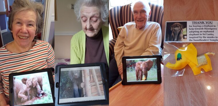  Orphaned elephant adopted by Saltburn care home residents 