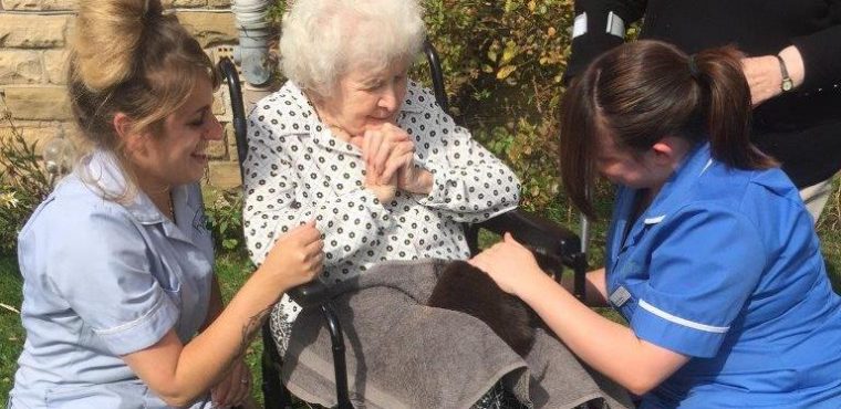  Furry friends from Heeley City Farm visit care home residents 
