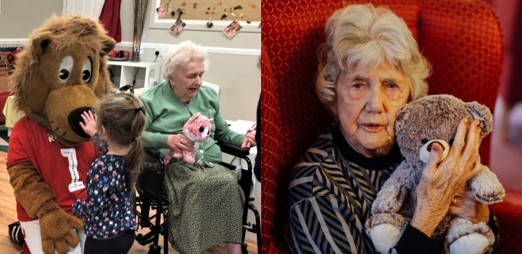  Lions and tigers help care homes celebrate Hug a Bear Day 