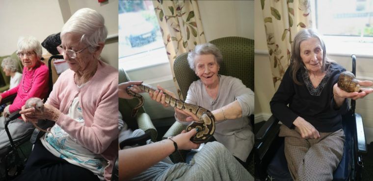  Elderly enjoy a magic encounter with Harry Potter creatures 