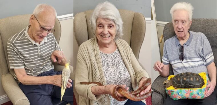 Pets prove therapeutic for Derbyshire care home residents 