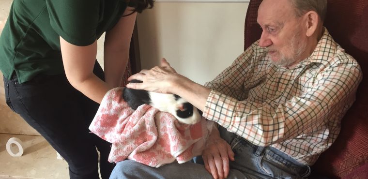  Fluffy four legged friends to silky smooth snakes visit care home 