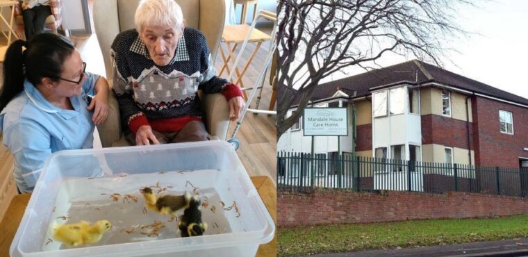  Ducklings deliver smiles at Teesside care home 