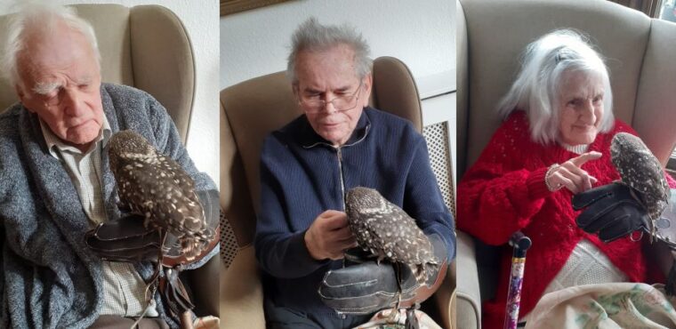  Elderly have a hoot during feathered friends’ flying visit 
