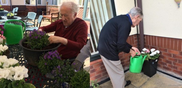  Plants donated to care home for National Gardening Week 