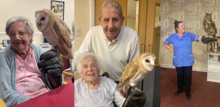  Flying visit from owls lift Hartlepool care residents’ spirits 
