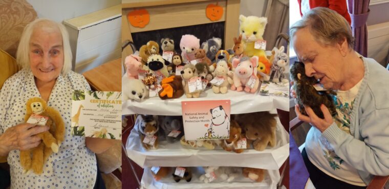  Animal safety month celebrated with soft toy adoptions 