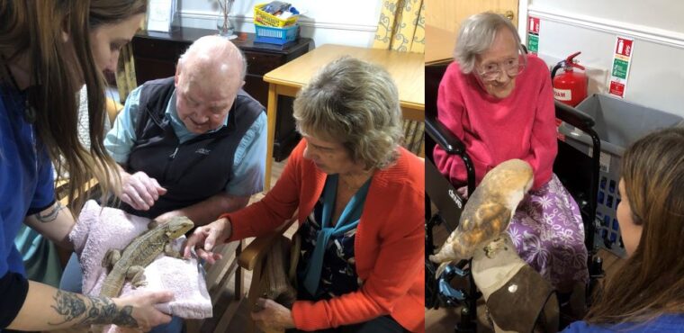  Pet therapy invigorates Ripon care home’s elderly residents 